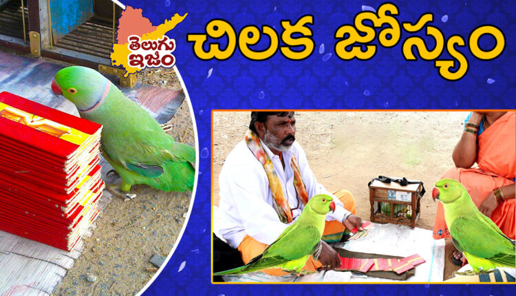 TeluguISM Traditions - Telugu Sampradayalu Chilaka Josyam 129