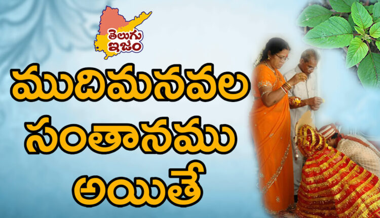 TeluguISM Traditions - Telugu Sampradayalu Grand Children's Offspring 29