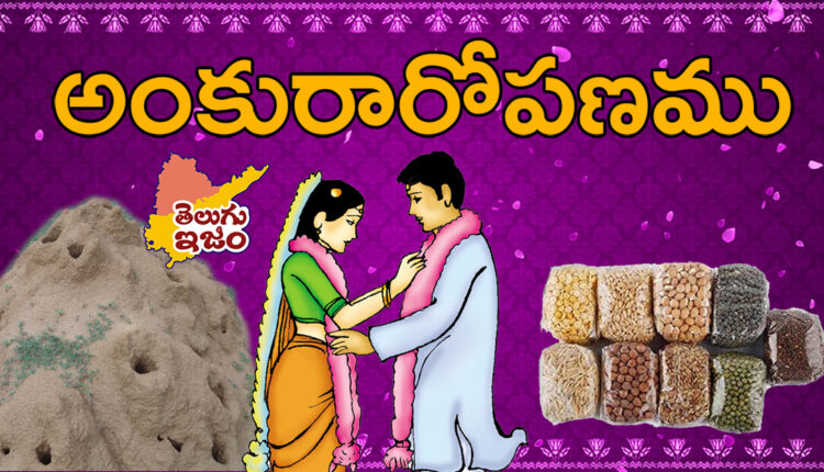 TeluguISM Traditions - Telugu Sampradayalu Ankuraropanam 51